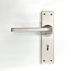 stainless steel door handle with rectangular backplate and integrated keyhole, mounted on a white background